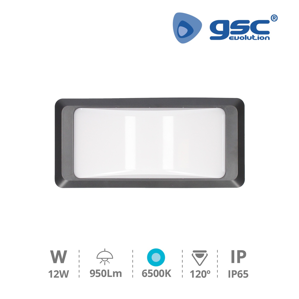 APLIQUE PARED LED GSC ANTHE GRIS 12W LUZ BLANCA 6500K 950 LUMENES - PROTECCION IP65